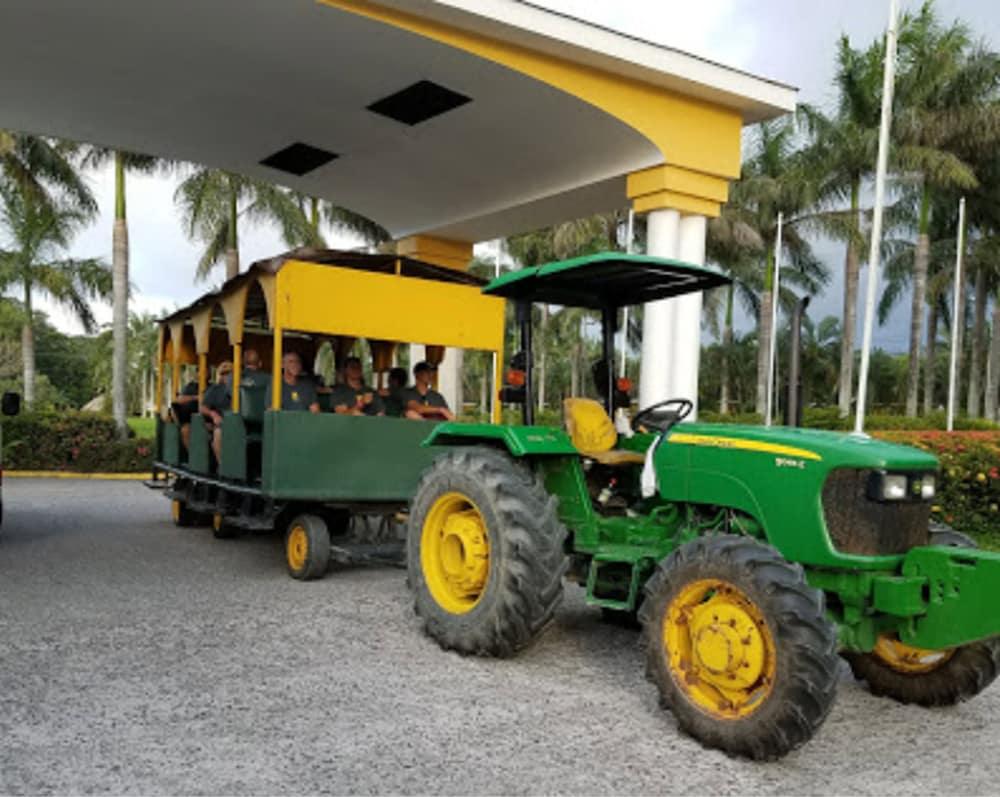 Hotel Palma Real Sambo Creek ภายนอก รูปภาพ