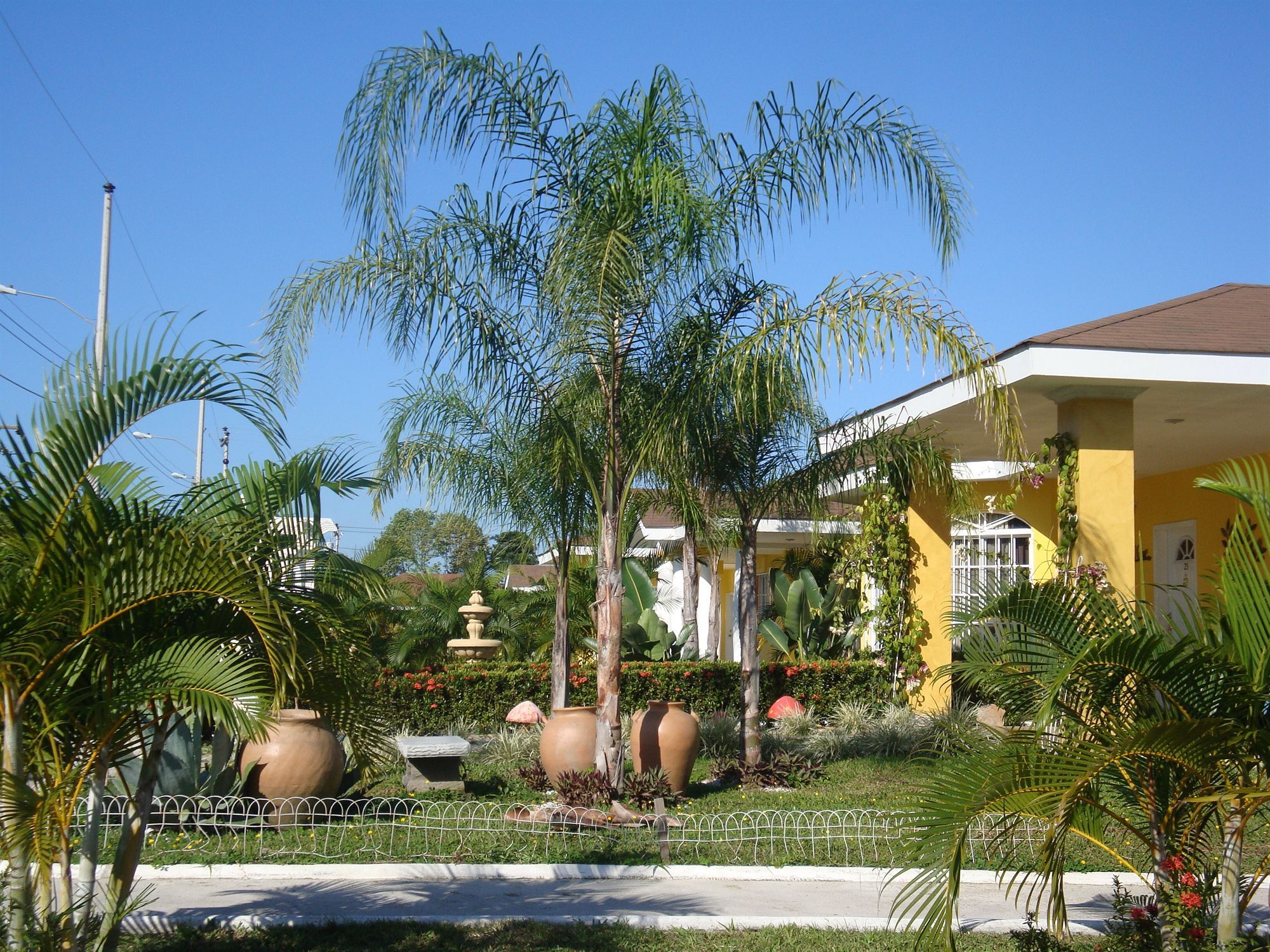 Hotel Palma Real Sambo Creek ภายนอก รูปภาพ